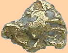 Gold Nugget found during a prospecting lesson